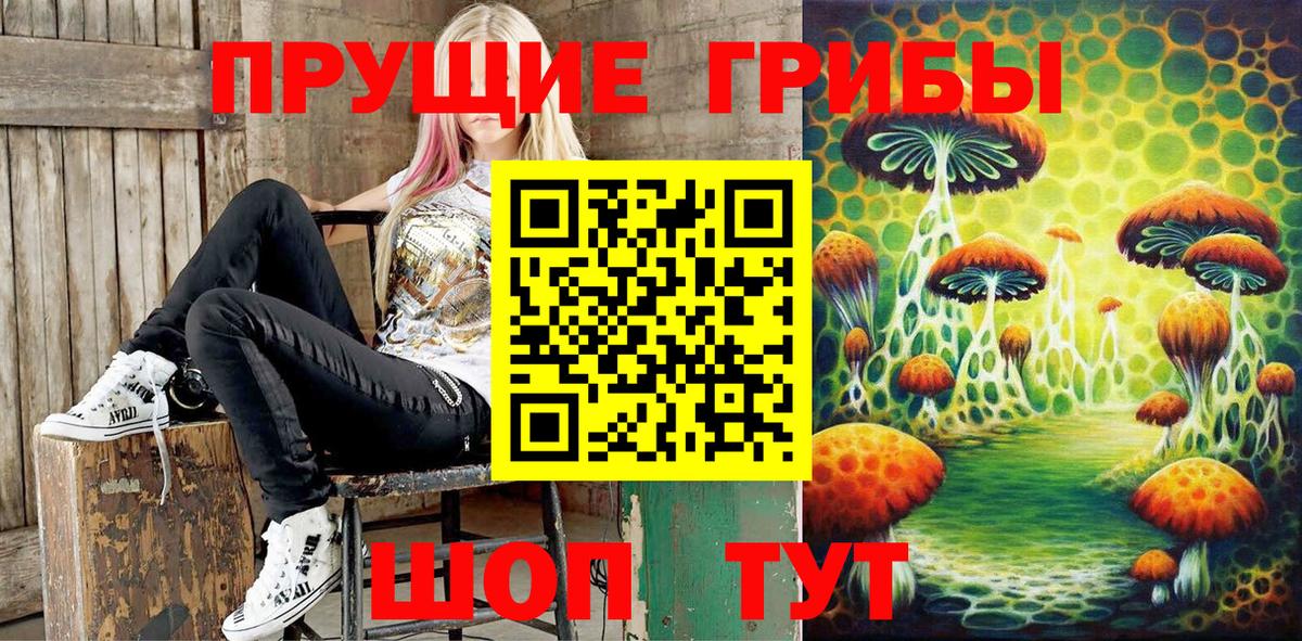 Галлюциногенные грибы мицелий Кингисепп